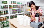 Khơi dậy sự sáng tạo của phụ nữ Huế trong phong trào khởi nghiệp