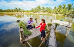 Du lịch nội địa kích cầu giảm giá sâu