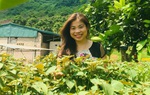 Ứng dụng công nghệ để sản xuất thảo mộc