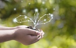 Bạn có thể làm gì để hưởng ứng Giờ Trái đất 2021?