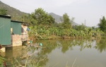 Đi tắm ao, 3 học sinh bị đuối nước thương tâm