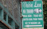 Chủ vườn lan đột biến đã ra trình diện, làm việc với cơ quan điều tra