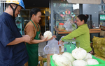 Bắp cải, cà rốt Đà Lạt chờ người Sài Gòn “ủng hộ dùm”