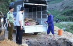 Phát hiện xe tải chở nửa tấn cá tầm nhập lậu từ Trung Quốc