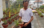 Nhà vườn săn lan đột biến như chơi "xổ số"