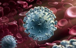 Phát hiện 2 biến chủng virus SARS-Cov-2 mới tại Việt Nam