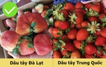 5 cách đơn giản giúp bạn chọn mua được dâu tây Đà Lạt "chuẩn xịn"