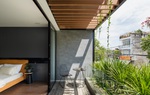 Nhà phố có cầu kính, tràn ngập cây xanh