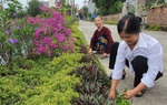 Ngày Môi trường thế giới 5/6/2021: Phục hồi Hệ sinh thái