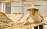 Hỗ trợ phụ nữ khởi nghiệp an toàn trong bối cảnh đại dịch Covid-19