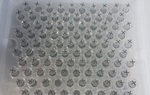 Nguy cơ vaccine ngừa Covid-19 giả xuất hiện tràn ra toàn cầu