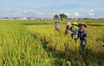Phụ nữ Bắc Giang lan toả phong trào "tương thân tương ái" giữa đại dịch