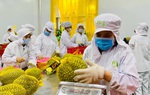 Hỗ trợ nông sản Việt vượt bão Covid-19 (Bài 3): “Bắc cầu” ra thế giới 