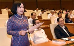 Tăng chất và lượng Đại biểu Quốc hội chuyên trách:
Lựa chọn những ứng viên giàu bản lĩnh, tâm huyết