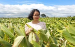 Khởi nghiệp vì không muốn củ nghệ rơi vào cảnh "được mùa rớt giá"
