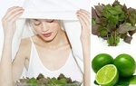 5 lợi ích của xông mặt bằng lá tía tô 
