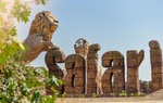 Ấn Độ: Sư tử ở công viên Etawah Safari dương tính với Covid-19 