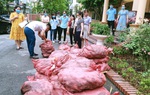 Hội LHPN tỉnh Phú Thọ hỗ trợ nông sản cho nông dân vùng dịch