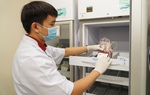 Lượng máu dự trữ tại Trung tâm Truyền máu Chợ Rẫy đã gần chạm đáy