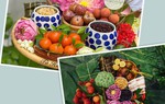 "Diệt sâu bọ" xong, chị em khoe mâm cỗ cúng Tết Đoan Ngọ đủ màu sắc khắp MXH