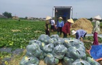 Bắc Ninh: Phụ nữ Lương Tài kết nối, hỗ trợ tiêu thụ nông sản