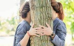 Phản ứng của cha mẹ khi con yêu bạn đồng giới