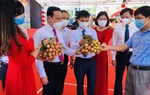 Xuất hành vải thiều ở Bắc Giang giữa dịch Covid-19 