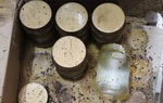 Thu giữ hàng tấn nguyên liệu trà sữa Royal Tea, Gongcha không rõ nguồn gốc