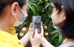 6 sàn thương mại điện tử cùng vào cuộc thúc đẩy tiêu thụ vải Bắc Giang 