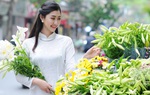 Ngẩn ngơ trước những gánh hàng hoa 