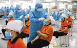 Tinh giản tối đa các thủ tục, điều kiện nhận hỗ trợ ảnh hưởng bởi Covid-19