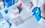Hà Nam: Kết quả xét nghiệm Covid-19 của 233 người từ TPHCM trở về ra sao?