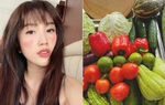 Bảo Thy "cầu cứu" cách trữ rau củ quả trong tủ đông, Lan Khuê và dân mạng mách tuyệt chiêu