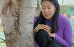 Trớ trêu Thương Con Cá Rô Đồng: Thương (Lê Phương) khóc nghẹn khi gả em gái cho người yêu