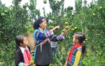 Cần cụ thể hóa các tiêu chí để bảo đảm vai trò phụ nữ xây dựng nông thôn mới