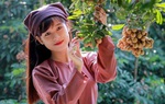 Kết nối giá trị, lan tỏa văn hóa Việt thông qua chương trình livestream sản phẩm OCOP