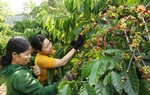 Cần thêm nguồn lực hỗ trợ nữ chủ doanh nghiệp phục hồi, phát triển