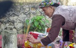 Vượt hơn 300 cây số, chị gái 85 tuổi lên thăm mộ em là liệt sĩ tại Sơn La