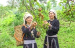 Quốc hội bổ sung nội dung bình đẳng giới trong Nghị quyết về Nông thôn mới