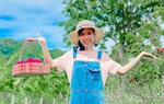 Khởi nghiệp từ “vàng xanh” thảo mộc