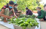 Phụ nữ Long An góp rau củ quả gửi tới người dân TPHCM