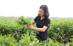 Bắc Ninh: Gần 5 nghìn hội viên phụ nữ Gia Bình được hỗ trợ vay vốn phát triển kinh tế