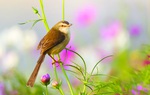 Biết kiên nhẫn sẽ nhận được nhiều điều tốt đẹp hơn