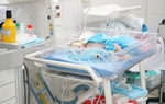 Tuyển TNV chăm trẻ sơ sinh có mẹ bị mắc Covid-19 