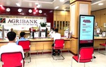 Agribank đã giải ngân hơn 116 ngàn tỷ đồng và 122 triệu USD hỗ trợ người dân, doanh nghiệp