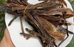 Nuốt "giun đất" sống trị Covid-19, coi chừng rước họa vào thân