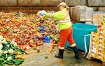 Lãng phí thực phẩm: Mối đe dọa với khí hậu, môi trường