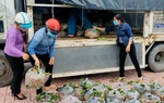 Hội LHPN Bến Tre hỗ trợ tiêu thụ hơn 285 tấn nông sản cho nông dân