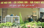 Xoay xở mùa dịch: Chủ quán phở, shop thời trang đi bán rau