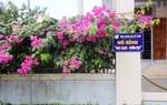 Phụ nữ Hà Tĩnh vừa chống dịch vừa xây dựng nông thôn mới